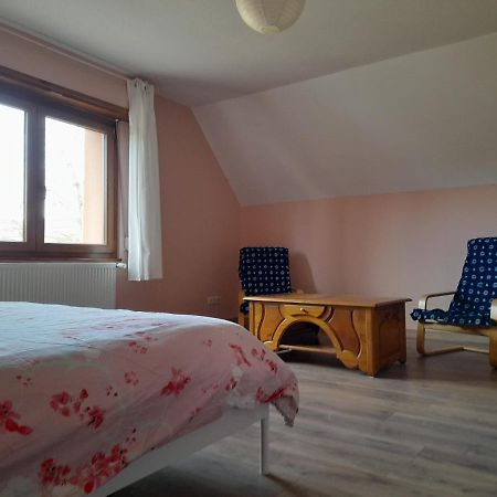 Appart 4 Pers Refait Neuf 90M2 Avec Balcon Baldenheim Exterior photo